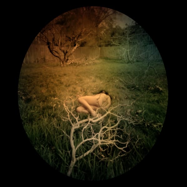 Jane Burton, In Other Bodies 6, 2013