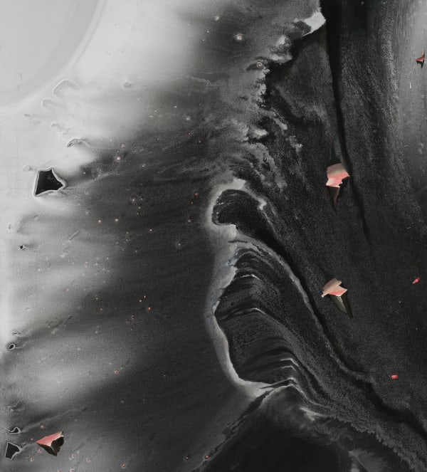 Megan Walch Black Swan, 2019 oil and enamel on panel 75 x 67.5cm