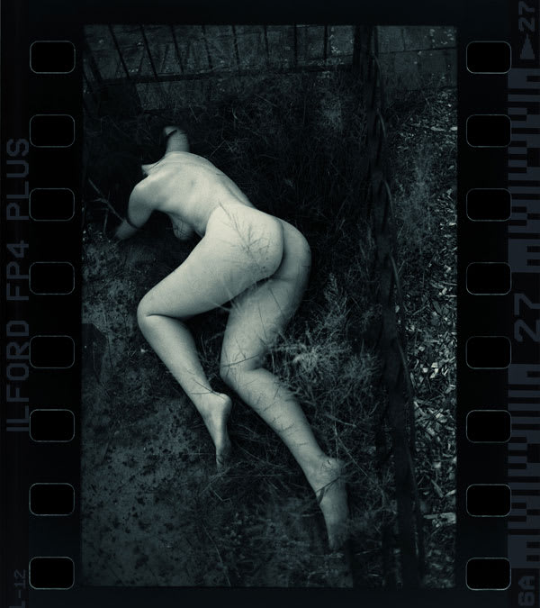 Jane Burton, It is Midnight, Dr._ _, image 5, 2016