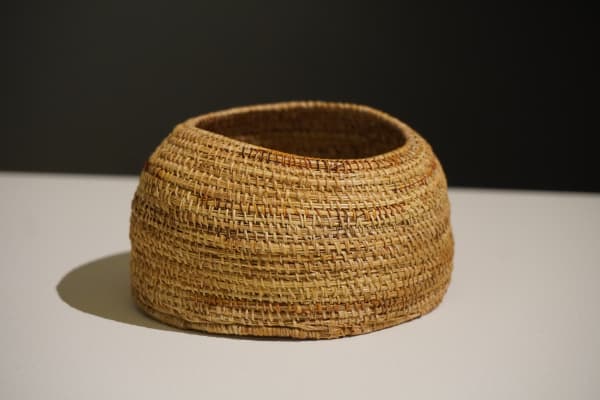 Bronwyn Dillon palawa traditional weave basket, 2024 river reed & scallop shell 16 x 10 x 11 cm (overall size)