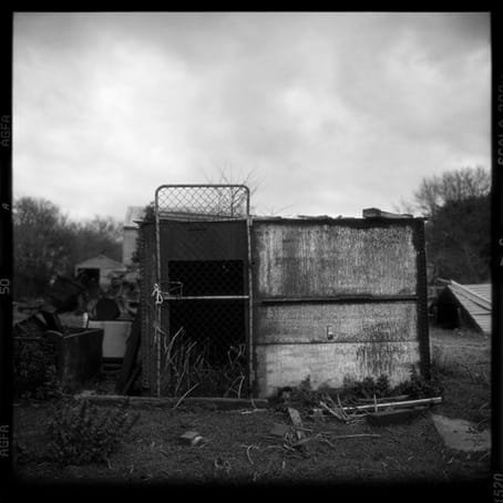 Jane Burton, Badlands 10, 2001