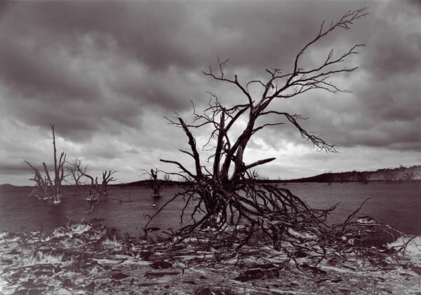 David Stephenson, Drowned No.34, 2001