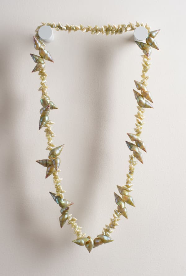 Fiona Green pakana necklace, 2024 king maireener and blue maireener shells 100 cm (overall length)