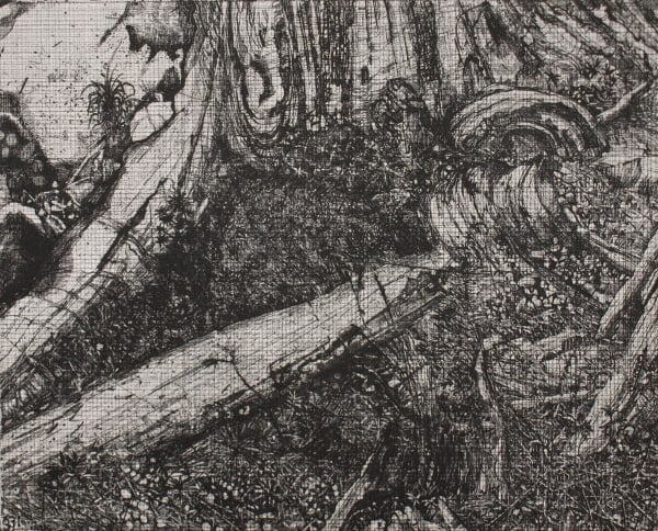 Raymond Arnold Elsewhere World Fragment No 31 3rd state, 2019 Etching on Arches 300gsm paper 40 x 30cm Edition of 5