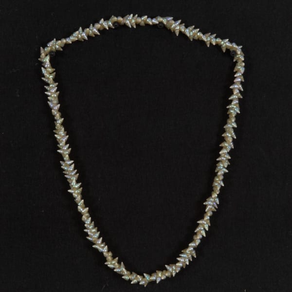 Emma Robertson palawa necklace, 2022 single species: maireener shells 70cm (overall length)
