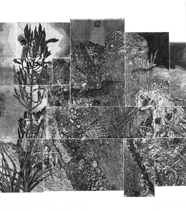 Raymond Arnold Elsewhere World – Consolidated G, 2019 etching on 300gsm Velin Arches 80 x 70cm Edition of 4