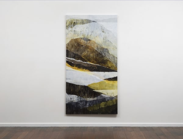 Caroline Rannersberger D’Entrecasteaux in saffron Ia, 2018 ink and acrylic on linen 198 x 102cm