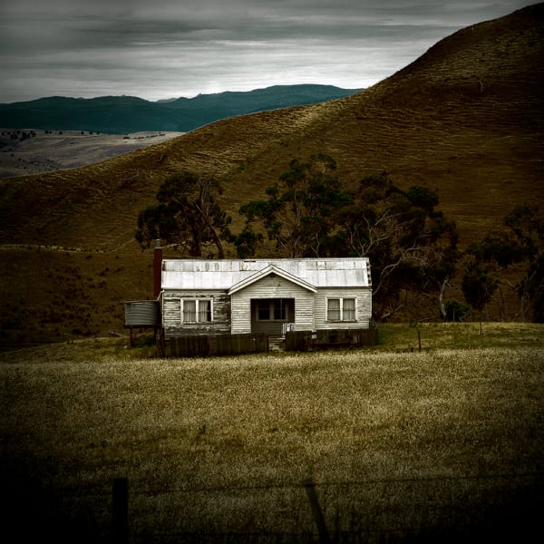 Jane Burton Motherland #3, 2008 Type C photograph 75 x 75cm Edition of 5 plus 1 artist's proof