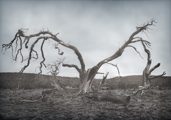 David Stephenson 2021/35 Near yingina/Great Lake, 2021 archival pigment print on cotton rag paper 76.2 x 101.6cm (paper size) edition of 5