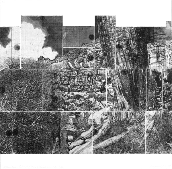 Raymond Arnold Elsewhere World – Consolidated B, 2019 etching on 300gsm Velin Arches 80 x 80cm Edition of 4 plus 2 artist's proofs