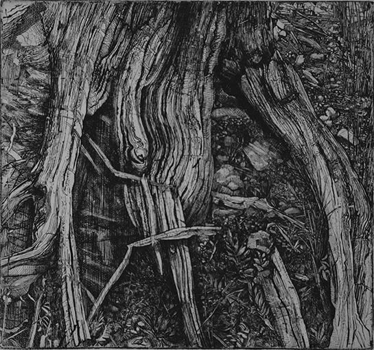 Raymond Arnold Elsewhere world fragment No.21, 2015 etching on 300gsm Velin Arches, unframed 40 x 30cm, paper size