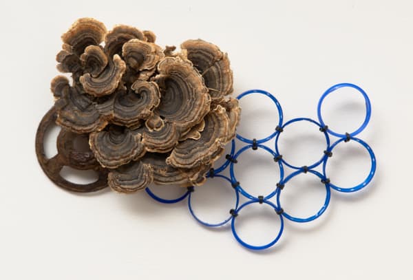 Irene Briant Here and There series no.52, 2013 mixed media and various found objects 18 x 26 x 5 cm (object size)
