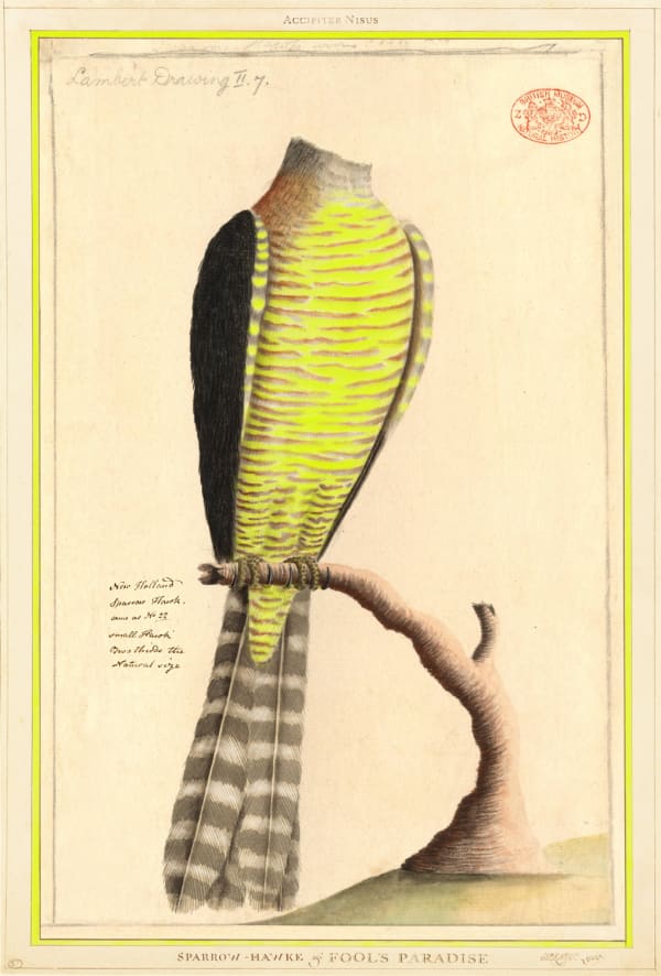 Joan Ross, Fools paradise, 2018