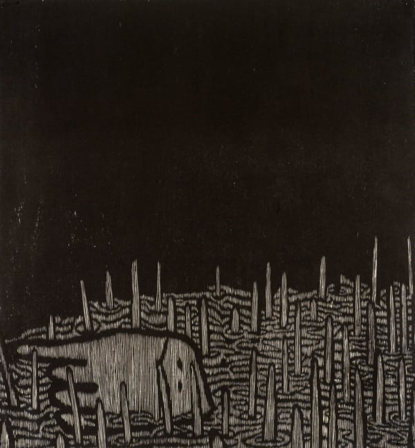 Michael Schlitz, Mangrove hand, 2005