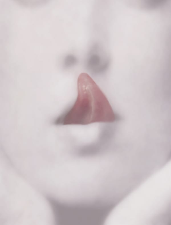 Pat Brassington Tell, 2006 pigment print 85 x 65 cm edition of 8 plus 2 AP