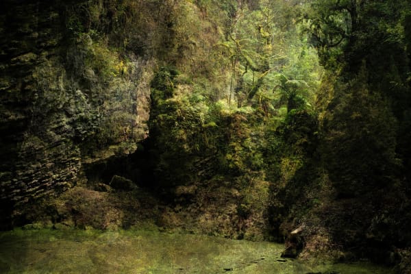 Troy Ruffels, Rupture and Refuge, 2025