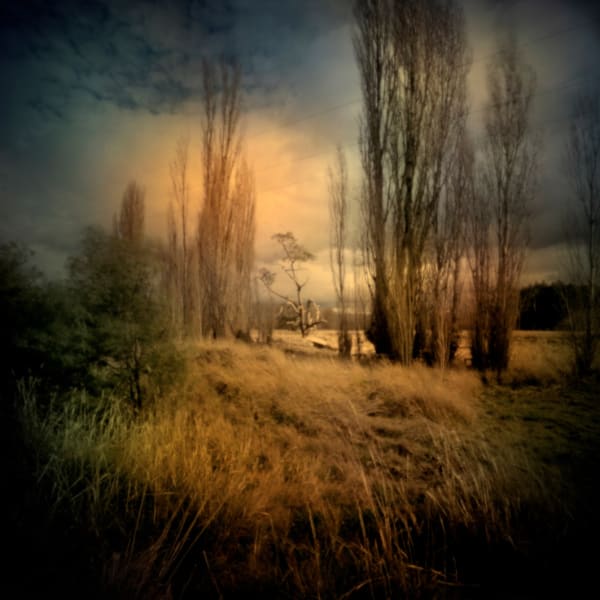 Jane Burton, In Other Bodies 4, 2013