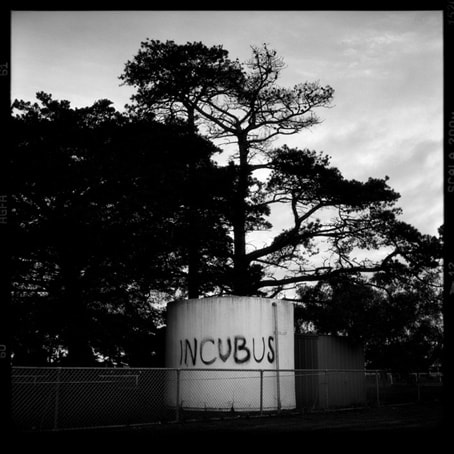 Jane Burton, Badlands 9, 2001