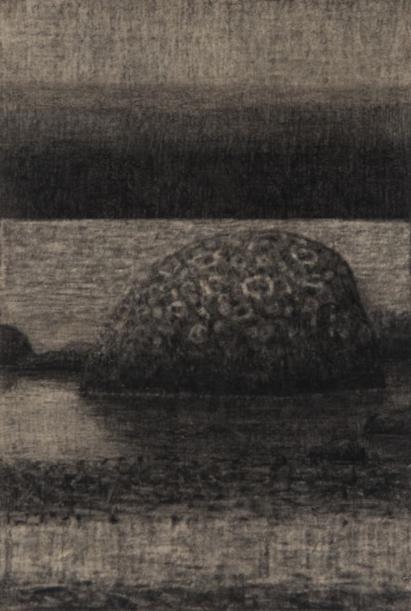 Richard Wastell Lake Ina, 2014 charcoal on paper 56 x 38cm (paper size)