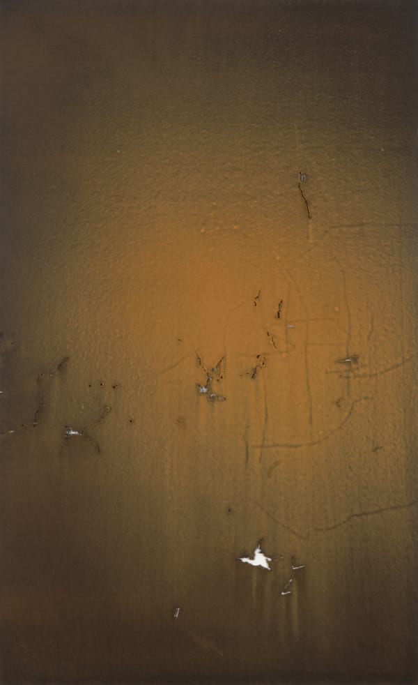 Sara Maher Alluvium, 2014 ink and clay (from Queenstown, Tasmania) on paper, framed 134 x 81cm (paper size)