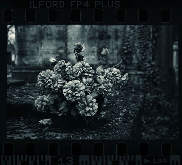 Jane Burton, It is Midnight, Dr._ _, image 3, 2016