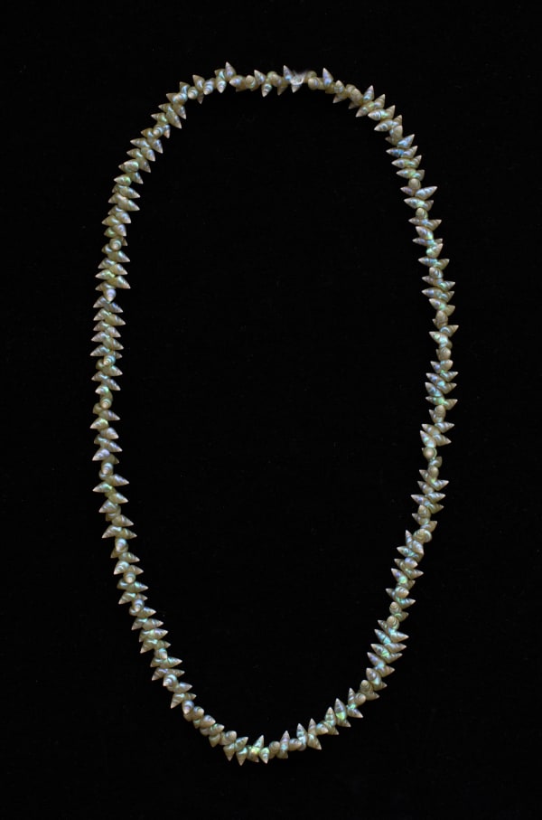 Bec Woolley palawa necklace, 2023 blue maireener shells 82 cm (overall length)