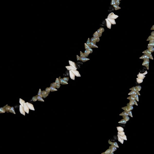 Aunty Jeanette James Palawa Shell Necklace, 2013 String sequence: 16 mariner, 2 black crow, 4 penguin and 2 black crow shells 175cm