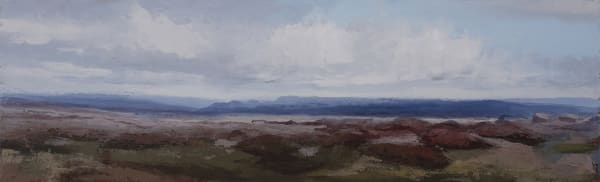 Philip Wolfhagen Shadow Play no. 3, 2020 oil on board 28 x 92cm