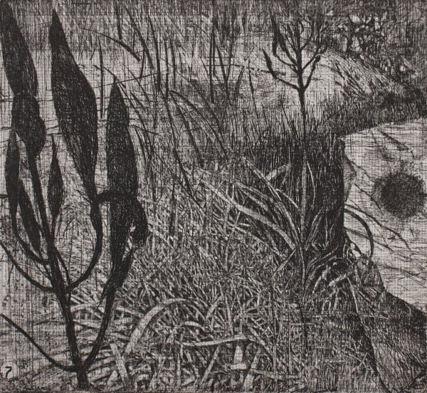 Raymond Arnold Elsewhere World Fragment No 7 5th state, 2019 Etching on Arches 300gsm paper 40 x 30cm Edition of 4