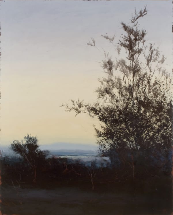 Philip Wolfhagen Journey to the Source VII, 2010 oil & beeswax on linen, unframed 200h x 160w cm