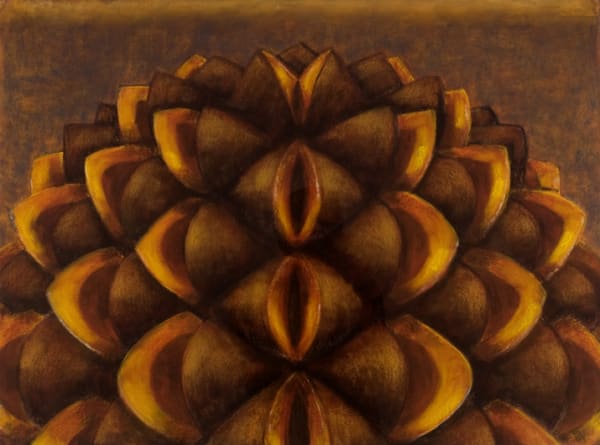 Richard Wastell To a Sheoak tree, 2008 Pastel on paper, framed 56h x 76w cm (sheet); 82h x 101w cm (overall, framed size)