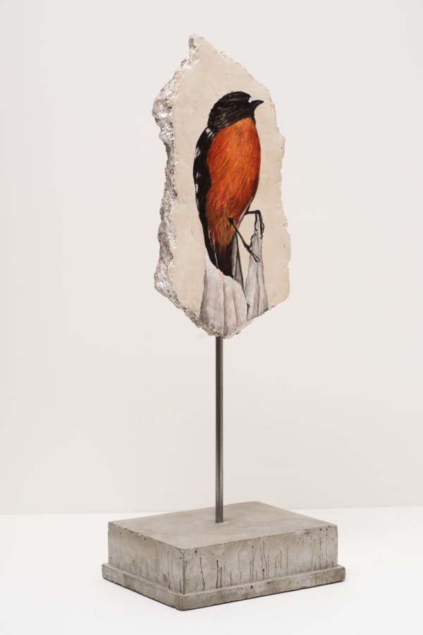 Helen Wright Robin, 2019 pearlescent oil paint on cement 37 x 18cm