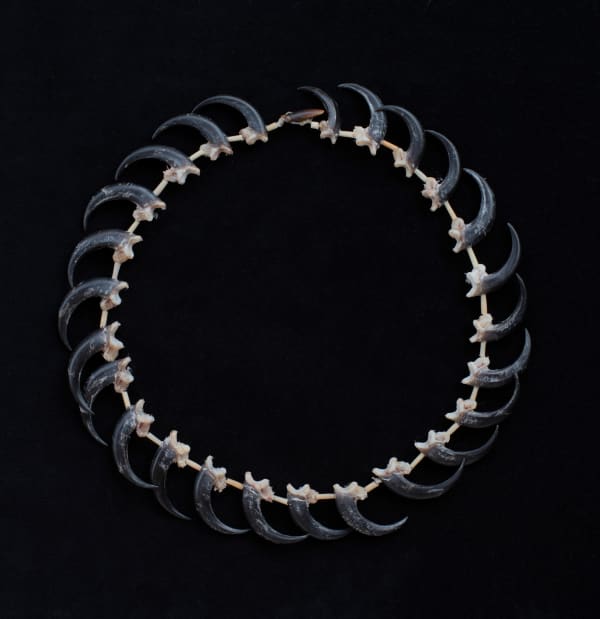 Aunty Jeanette James palawa necklace - kurina (eaglehawk), 2023 wedge-tail eagle claws, echidna quills and echidna claw on kangaroo sinew 72cm (overall length)