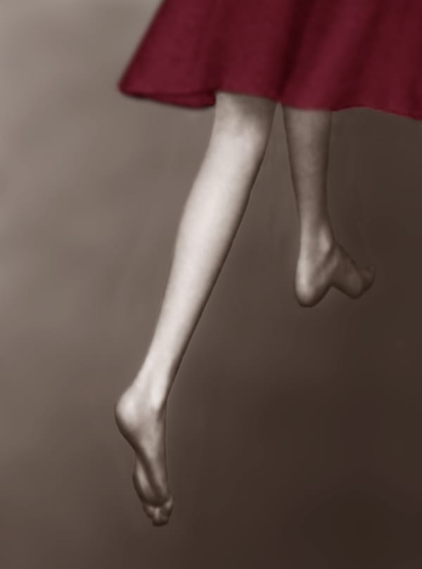 Pat Brassington Swan, 2017 pigment print 85 x 62cm Edition of 8 plus 2 artist's proofs