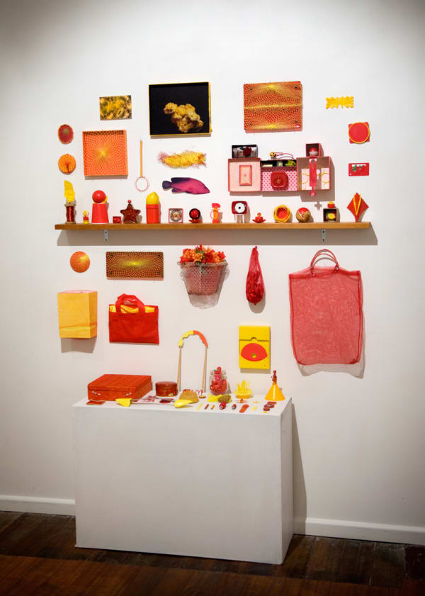 Irene Briant Stanza no. 12 Fire and Light, 2015 found objects and wooden shelf dimensions variable