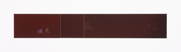 Sara Maher The garden, the cosmos, 2014 ink, pigment & pencil on paper, framed 10 X 63.5cm (paper size)