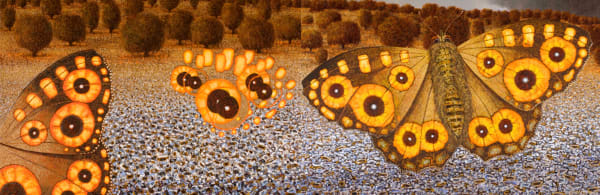 Richard Wastell, Spring, butterflies, 2008