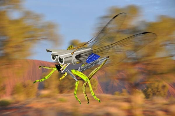 Joan Ross, Not a $tone unturned, 2015