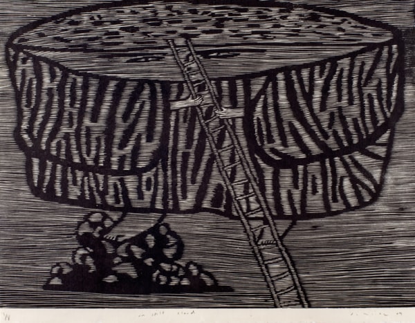 Michael Schlitz, Un-split cloud, 2009