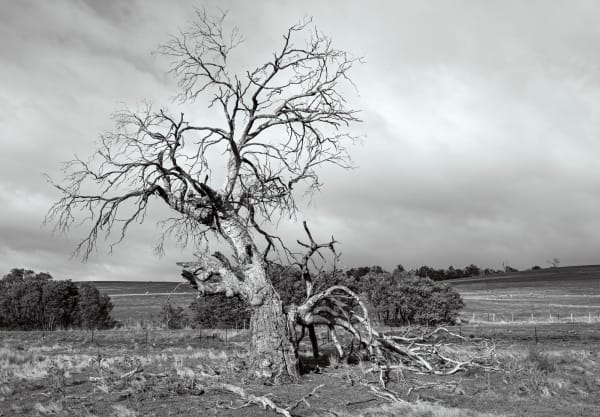 David Stephenson Lyell Hwy near Gretna 1, 2023 pigment ink print edition of 5 plus 1 AP available two sizes: 76.2 x 101.6 cm - $5,000 + framing 101.6 x 132.1 cm - $7,000 + framing