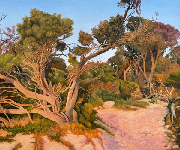 David Keeling Sunset, Freycinet, 2025 oil on board, framed 51 x 61 cm (framed size)