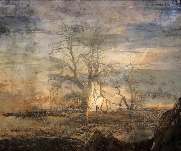 Troy Ruffels Weathering - Bone fields, 2022 digital print on aluminium panel 100 x 120cm Edition of 3 plus 1 artist's proof