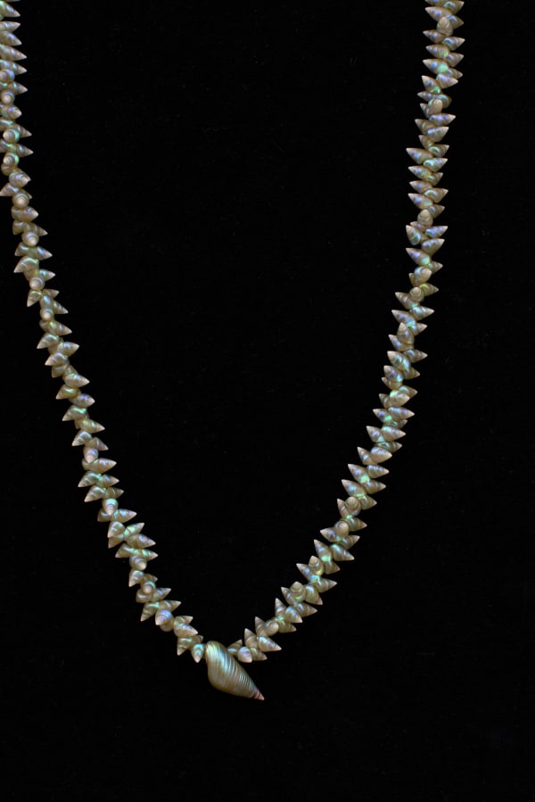 Bec Woolley palawa necklace, 2023 single species: medium maireener shells with 1 king maireener each shell 10mm (approx) 88 cm (overall length)