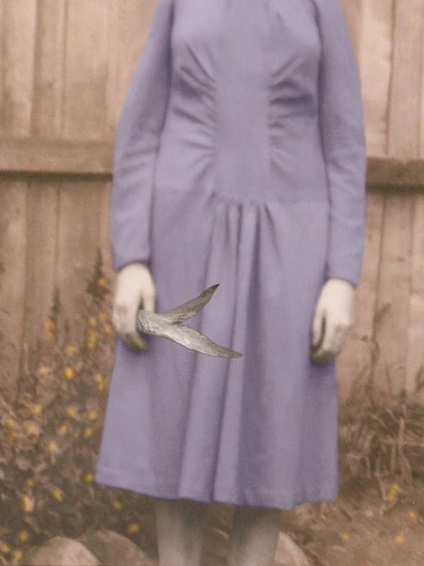 Pat Brassington Lure, 2005 pigment print 86 x 64cm edition of 6 plus 2 AP