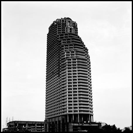 Jane Burton The Fall 10, 2004 Type C photograph 112 x 112cm Edition of 5 plus 1 artist's proof