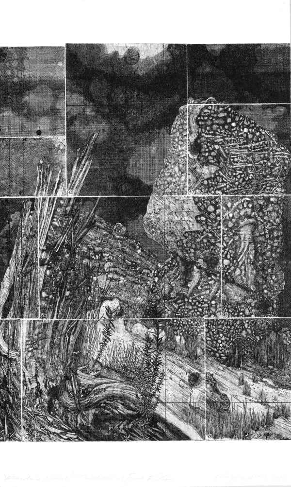 Raymond Arnold Elsewhere World – Consolidated E, 2019 etching on 300gsm Velin Arches 80 x 48cm Edition of 4