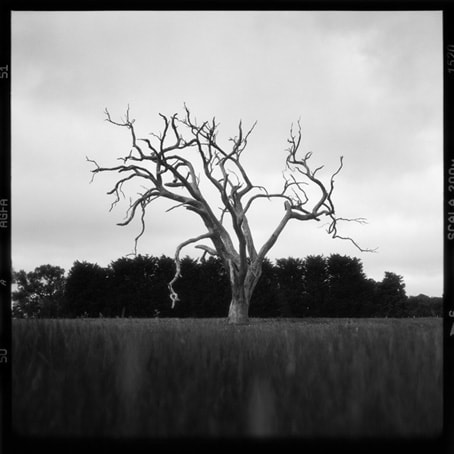 Jane Burton, Badlands 2, 2001