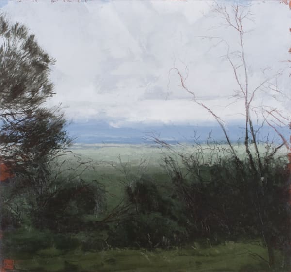 Philip Wolfhagen Preparation for Journey V, 2010 oil & beeswax on linen, unframed 120h x 129w cm