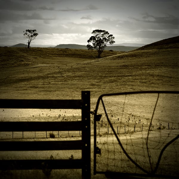 Jane Burton Motherland #5, 2008 Type C photograph 75 x 75cm Edition of 5