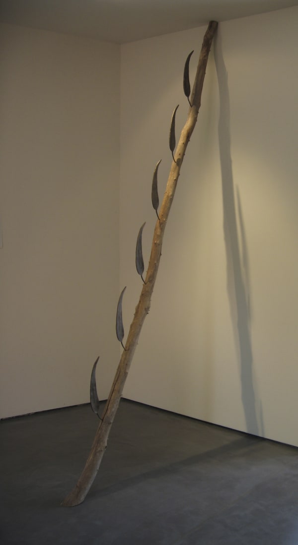Julie Gough Regeneration, 2005 Eucalypt branch, cast bronze leaves Approx. 3 x 0.10 x 3m